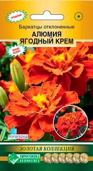 Семена ЕВРОСЕМЕНА Бархатцы отклоненные Алюмия Ягодный крем, 10 шт. Floranova Золотая Коллекция