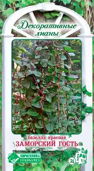 Семена ЕВРОСЕМЕНА Базелла Заморский гость, 5 шт. Декоративные лианы