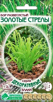Семена ЕВРОСЕМЕНА Бор развесистый Золотые стрелы, 5 шт. Декоративные Злаки