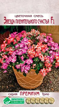 Семена ЕВРОСЕМЕНА Цветочная смесь Звезда пленительного счастья, 10 шт. Премиум Трио