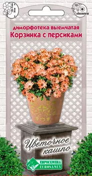 Семена ЕВРОСЕМЕНА Диморфотека выемчатая Корзинка с персиками, 0,2 г Цветочное Кашпо