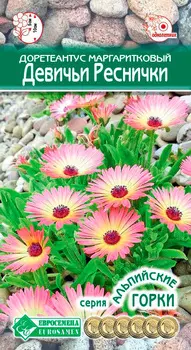 Семена ЕВРОСЕМЕНА Доретеантус маргаритковый Девичьи Реснички. 0,1 г Альпийские горки
