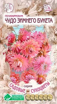 Семена ЕВРОСЕМЕНА Гелихризум Чудо зимнего букета, 0,1 г Садовые Сухоцветы