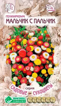 Семена ЕВРОСЕМЕНА Гелихризум Мальчик с пальчик, 0,1 г Садовые Сухоцветы