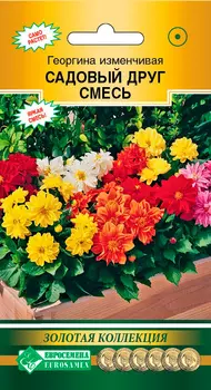 Семена ЕВРОСЕМЕНА Георгина изменчивая Садовый друг, Смесь, 10 шт. Золотая Коллекция