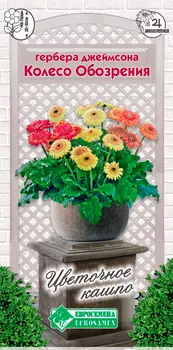 Семена ЕВРОСЕМЕНА Гербера джеймсона Колесо обозрения, 3 шт. Цветочное Кашпо