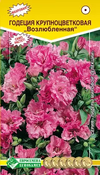 Семена ЕВРОСЕМЕНА Годеция крупноцветковая Возлюбленная, 0,3 г Лидеры мировой селекции