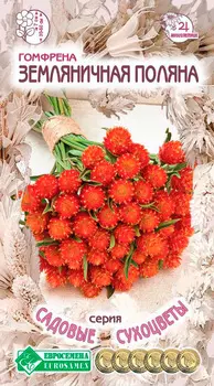 Семена ЕВРОСЕМЕНА Гомфрена золотистоцветная Земляничная поляна, 0,1 г Садовые Сухоцветы