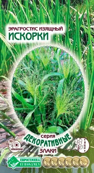 Семена ЕВРОСЕМЕНА Эрагростис изящный Искорки, 0,1 г Декоративные Злаки