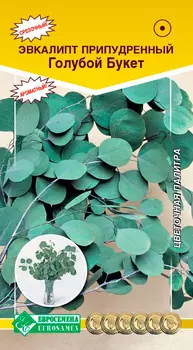 Семена ЕВРОСЕМЕНА Эвкалипт припудренный Голубой букет, 3 шт.