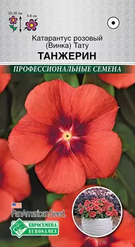 Семена ЕВРОСЕМЕНА Катарантус розовый (Винка) Тату Танжерин, 5 шт. PanAmSeeds Профессиональные семена