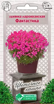 Семена ЕВРОСЕМЕНА Льнянка марокканская Фантастика, 3 шт. Цветочное Кашпо