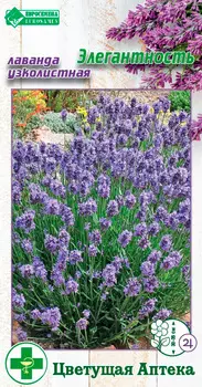 Семена ЕВРОСЕМЕНА Лаванда узколистная Элегантность, 5 шт. Цветущая Аптека