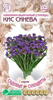 Семена ЕВРОСЕМЕНА Лимониум выемчатый (статица) Кис Синева, 15 шт. Садовые Сухоцветы