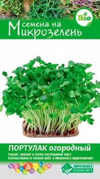 Семена ЕВРОСЕМЕНА Микрозелень Портулак огородный, 1 г
