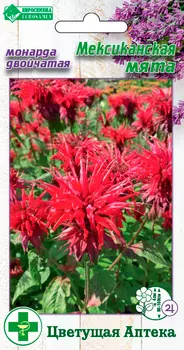 Семена ЕВРОСЕМЕНА Монарда двойчатая Мексиканская мята, 10 шт. Цветущая Аптека