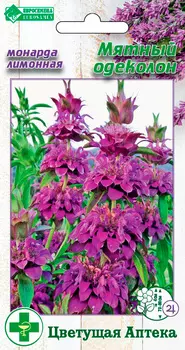 Семена ЕВРОСЕМЕНА Монарда лимонная Мятный одеколон, 0,3 г Цветущая Аптека