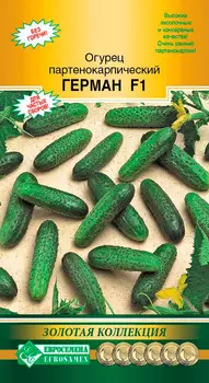 Семена ЕВРОСЕМЕНА Огурец Герман F1, 5 шт. Золотая Коллекция