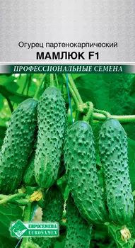 Семена ЕВРОСЕМЕНА Огурец Мамлюк F1, 5 шт. Профессиональные семена