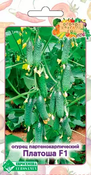 Семена ЕВРОСЕМЕНА Огурец Платоша F1, 5 шт. Огород круглый год