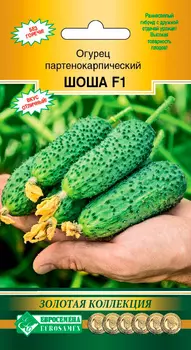 Семена ЕВРОСЕМЕНА Огурец Шоша F1, 5 шт. Золотая коллекция