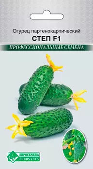 Семена ЕВРОСЕМЕНА Огурец Степ F1, 8 шт. Профессиональные семена