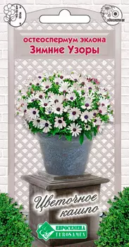 Семена ЕВРОСЕМЕНА Остеоспермум эклона Зимние узоры, 0,1 г Цветочное Кашпо