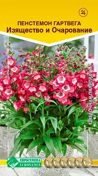 Семена ЕВРОСЕМЕНА Пенстемон Гартвега Изящество и очарование, 0,1 г