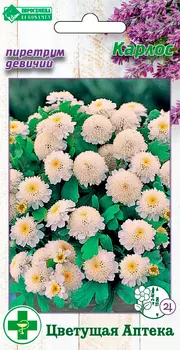 Семена ЕВРОСЕМЕНА Пиретрум девичий Карлос,10 шт. Цветущая Аптека