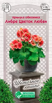 Семена ЕВРОСЕМЕНА Примула обконика Либре Цветок любви, 5 шт. Цветочное Кашпо