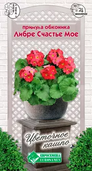 Семена ЕВРОСЕМЕНА Примула обконика Либре Счастье мое, 5 шт. Цветочное Кашпо