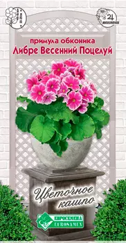 Семена ЕВРОСЕМЕНА Примула обконика Либре Весенний поцелуй, 5 шт. Цветочное Кашпо