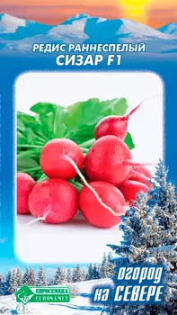 Семена ЕВРОСЕМЕНА Редис Сизар F1, 0,5 г Огород на Севере