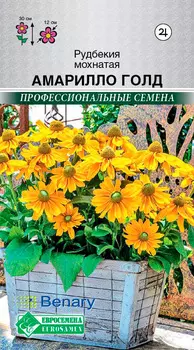 Семена ЕВРОСЕМЕНА Рудбекия мохнатая Амарилло Голд, 3 шт. Benary Профессиональные семена
