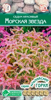 Семена ЕВРОСЕМЕНА Седум красивый Морская звезда, 10 шт. Альпийские Горки