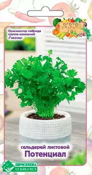 Семена ЕВРОСЕМЕНА Сельдерей листовой Потенциал, 0,5 г Огород круглый год
