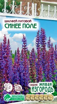 Семена ЕВРОСЕМЕНА Шалфей луговой Синее поле, 0,1 г Живая Изгородь