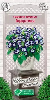 Семена ЕВРОСЕМЕНА Торения фурнье Герцогиня, 5 шт. Цветочное Кашпо