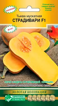 Семена ЕВРОСЕМЕНА Тыква мускатная Страдивари F1, 3 шт. Золотая коллекция