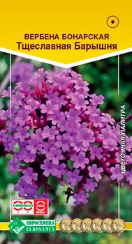 Семена ЕВРОСЕМЕНА Вербена бонарская Тщеславная барышня, 5 шт.