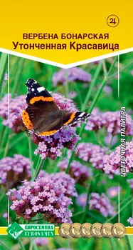 Семена ЕВРОСЕМЕНА Вербена бонарская Утонченная красавица, 5 шт.