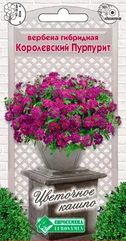 Семена ЕВРОСЕМЕНА Вербена гибридная Королевский пурпурит, 0,1 г Цветочное Кашпо