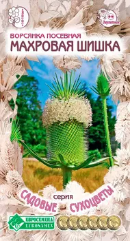 Семена ЕВРОСЕМЕНА Ворсянка посевная Махровая шишка, 0,1 г Садовые Сухоцветы