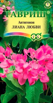 Семена Гавриш Антигонон Лиана любви, 5 шт.