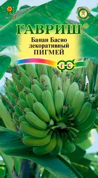 Семена Гавриш Банан Басио декоративный Пигмей, 3 шт.