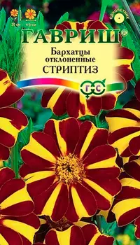 Семена Гавриш Бархатцы отклоненные Стриптиз, 0,3 г