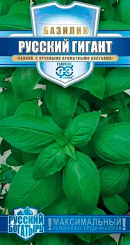 Семена Гавриш Базилик Русский гигант Зеленый, 0,3 г Русский богатырь