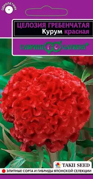 Семена Гавриш Целозия гребенчатая Курум Красная, 10 шт. Takii