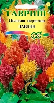 Семена Гавриш Целозия перистая Павлин, Смесь, 0,1 г