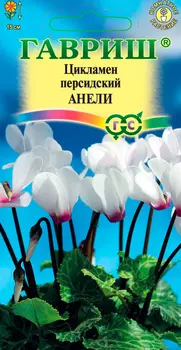 Семена Гавриш Цикламен персидский Анели, 3 шт.